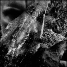 (CD RELEASE 24/7, 2026) TAAKE - EN SKOG AV NIDSTANG thumbnail