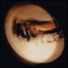 (LP RELEASE 09/10, 2026) CAMERON WINTER - LIVE AT CARNEGIE HALL thumbnail