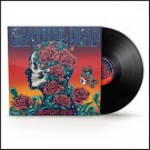 (LP) GRATEFUL DEAD - GRATEST HITS thumbnail