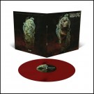 (LP RELEASE 19/6, 2026) WARNING - RITUALS OF SHAME thumbnail