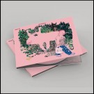 (CD) REOLO - FØLGEFEIL thumbnail