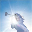 (LP) GEESE - GETTING KILLED thumbnail