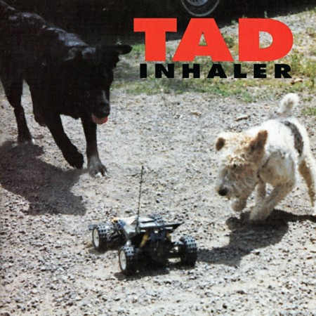 (CD) TAD - INHALER
