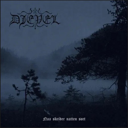 (CD) DJEVEL - NAA SKRIDER NATTEN SORT