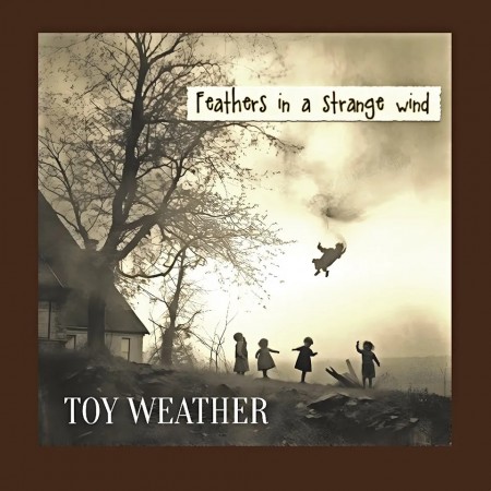 (LP) TOY WEATHER - FEATHERS IN A STRANGE WIND
