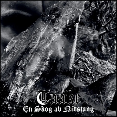 (CD RELEASE 24/7, 2026) TAAKE - EN SKOG AV NIDSTANG