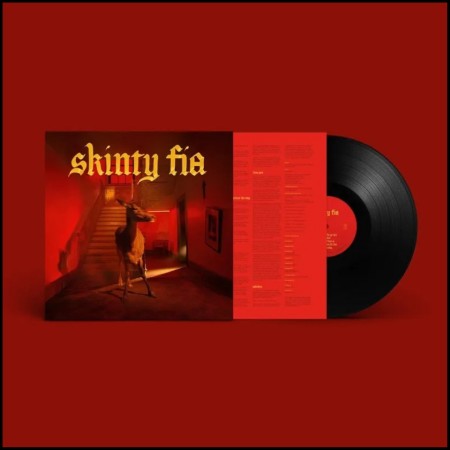 (LP) FONTAINES D.C. - SKINTY FIA