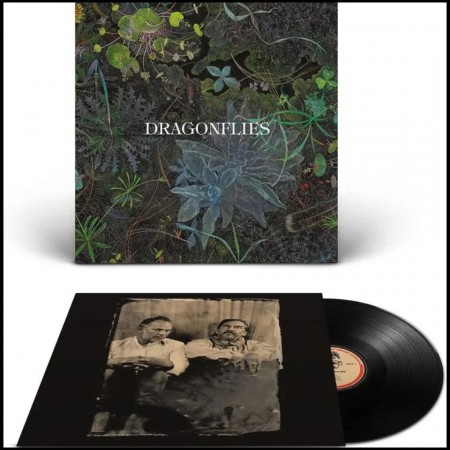 (LP) DRAGONFLIES - DRAGONFLIES